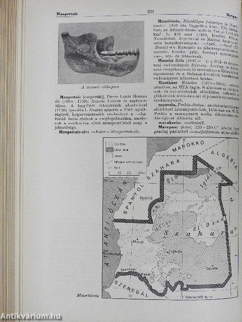 Természettudományi lexikon 1-6.