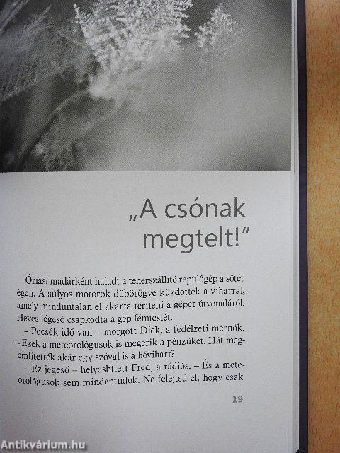 Karácsonyi történetek