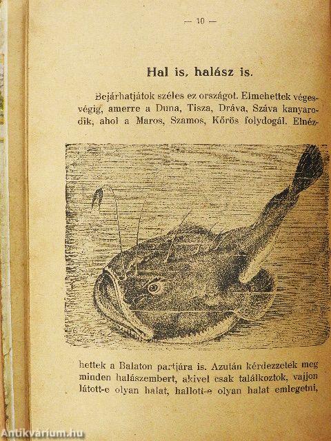 Mi van a tengerben?/Kerek erdő