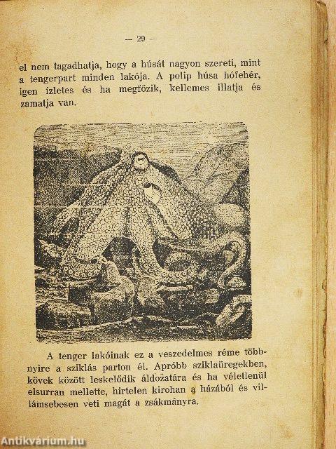 Mi van a tengerben?/Kerek erdő