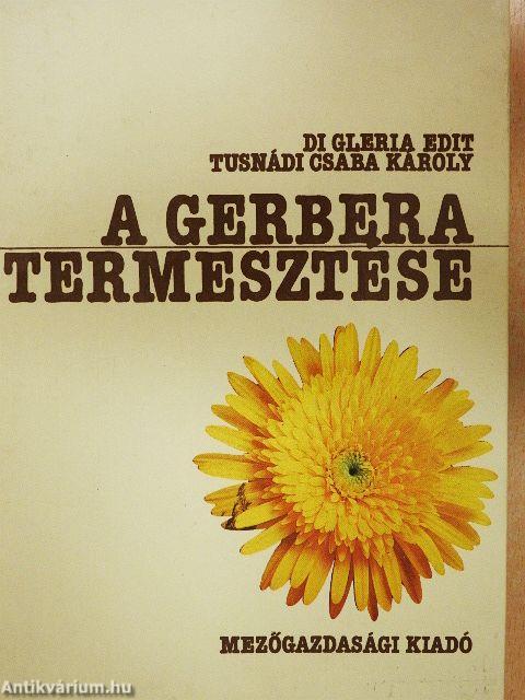A gerbera termesztése