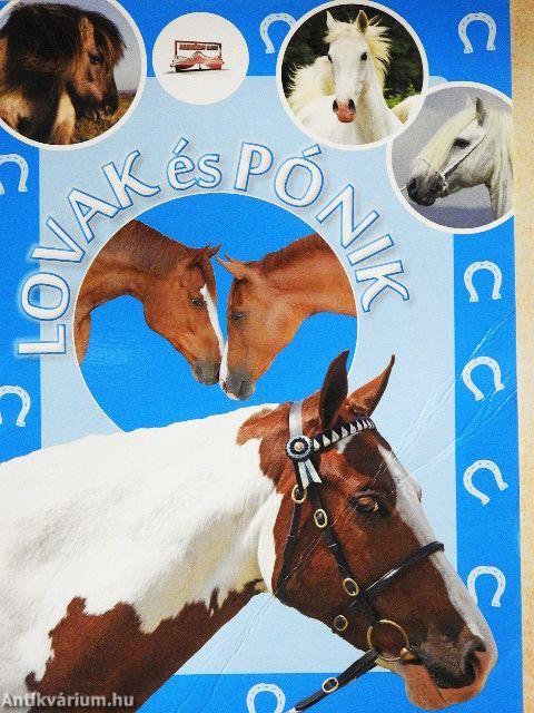 Lovak és pónik