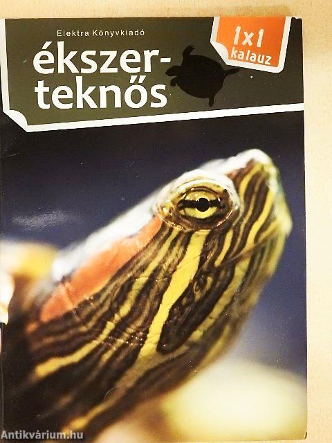 Ékszerteknős