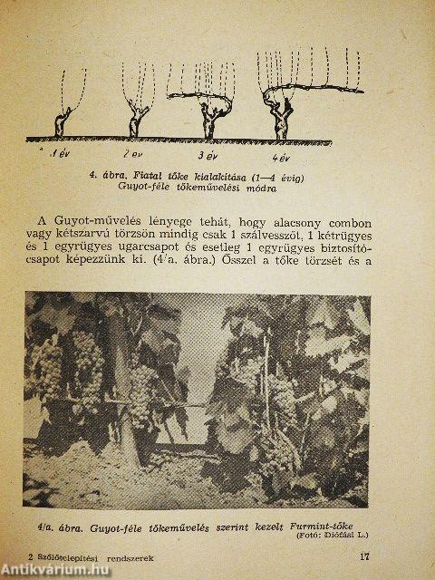 Szőlőtelepítési rendszerek és a művelés gépesítése