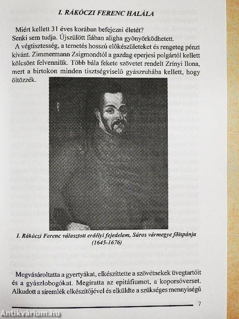 Nagyságos fejedelem szülőhelye - Borsi