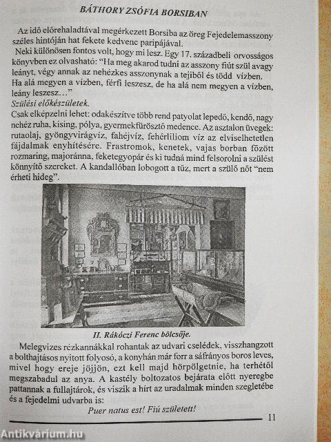 Nagyságos fejedelem szülőhelye - Borsi