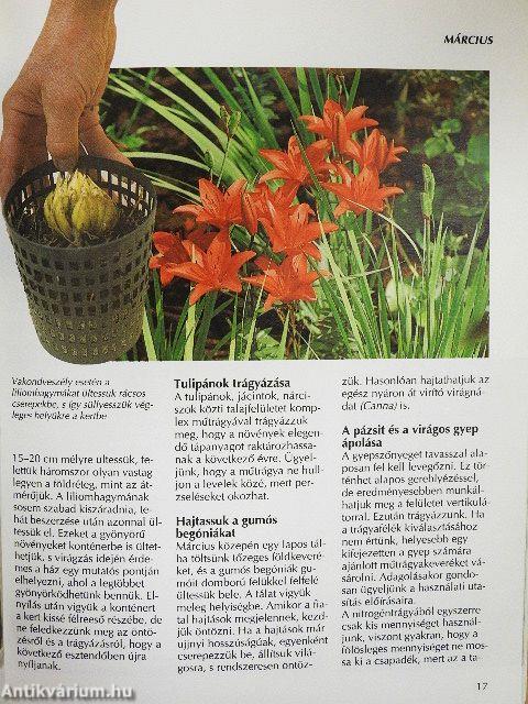 Kerek egy esztendő kerti munkái