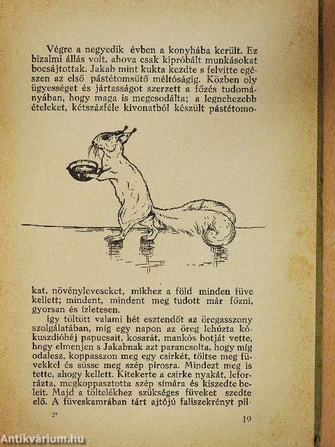 A nagyorrú törpe és más mesék