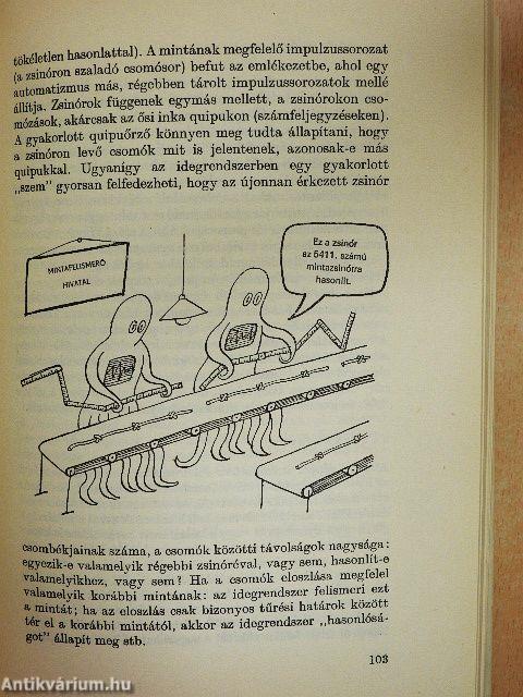 A kibernetika és az ember