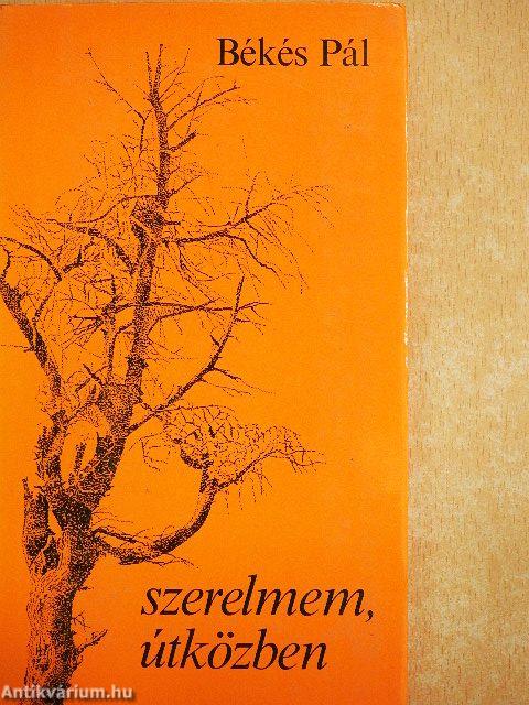 Szerelmem, útközben