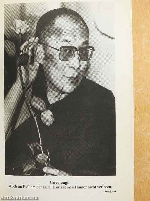 Dalai Lama - Ein Portrait