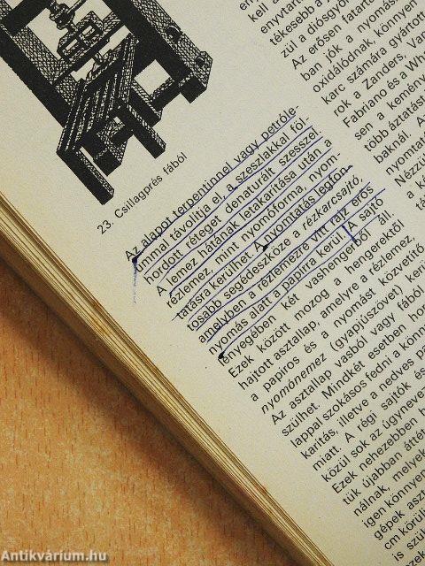 A képzőművészet iskolája I.