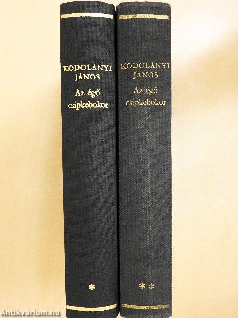 Az égő csipkebokor I-II.