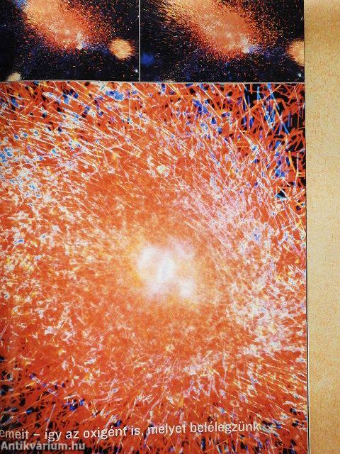 National Geographic Magyarország 2003. április