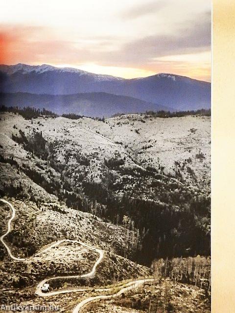 National Geographic Magyarország 2024. november