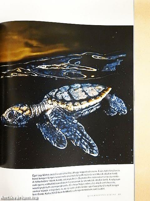 National Geographic Magyarország 2017. május