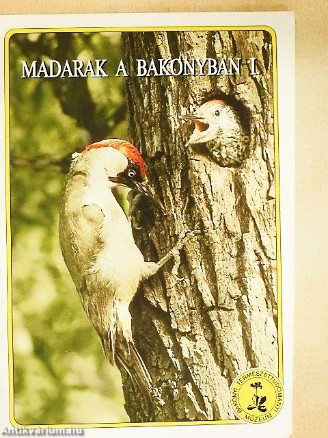 Madarak a Bakonyban I.