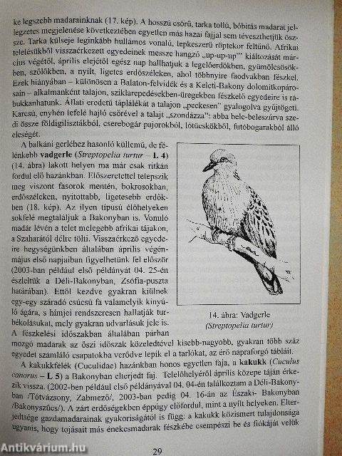 Madarak a Bakonyban I.