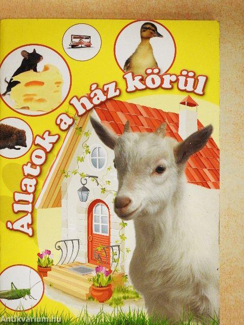 Állatok a ház körül