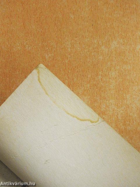 Csillag és horogkereszt