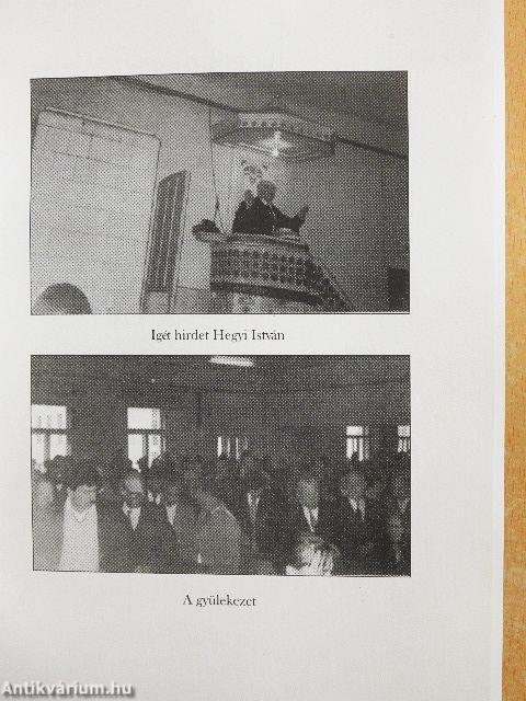 Elhullott kalászainkat szedjük össze