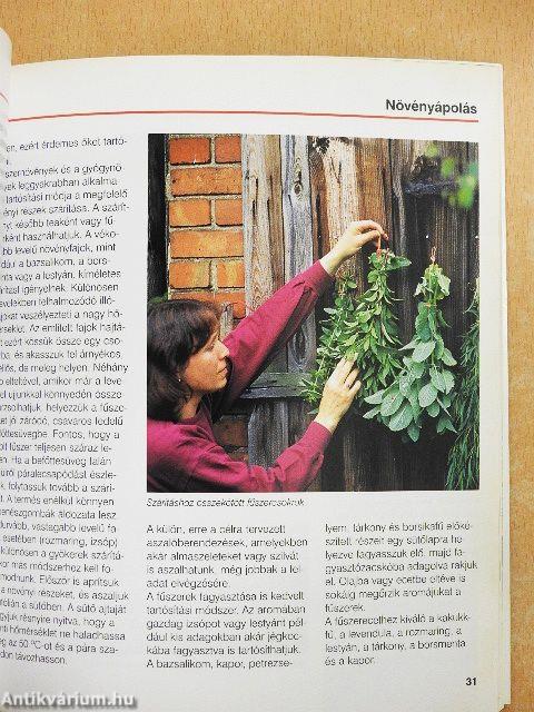 Gyógynövények, fűszernövények