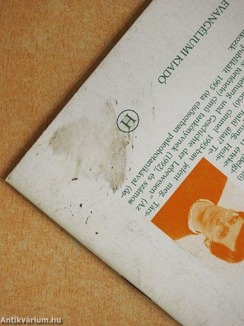 Ádámtól származik az ember?