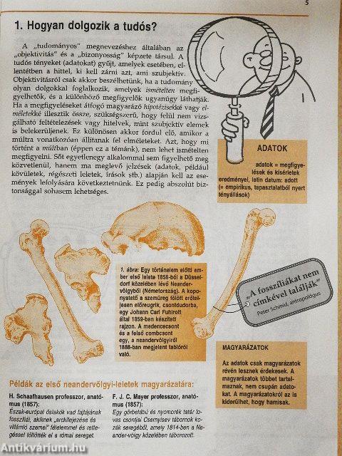 Ádámtól származik az ember?