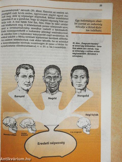 Ádámtól származik az ember?