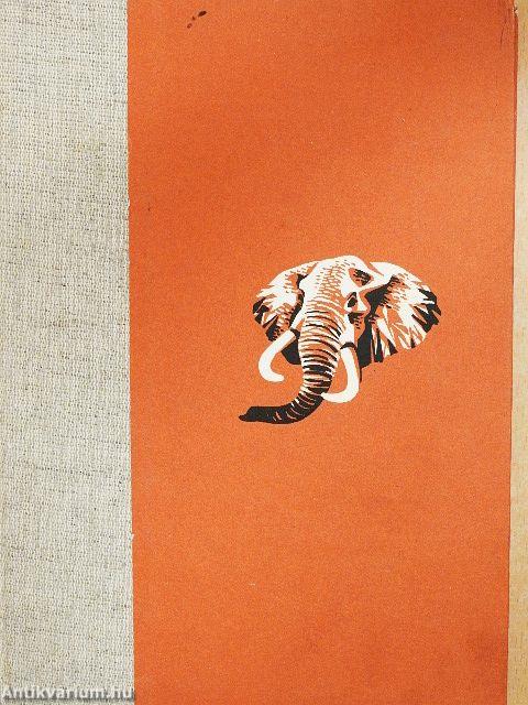 Afrikai tábortüzek