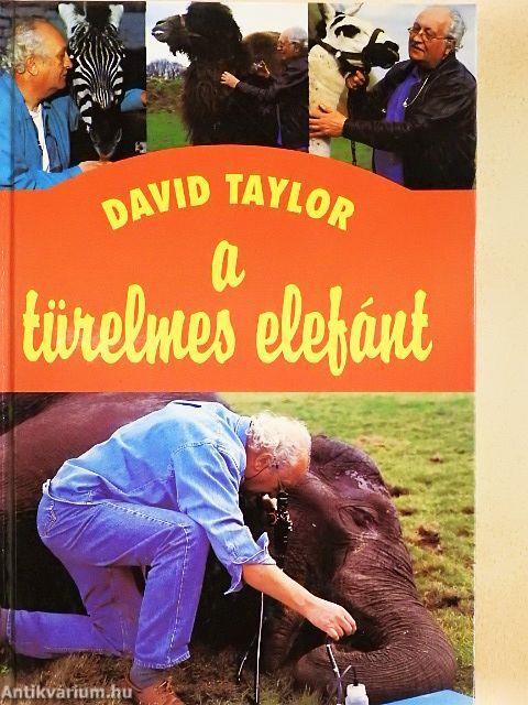 A türelmes elefánt