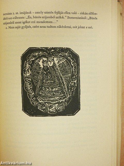 Hegyet hágék, lőtőt lépék