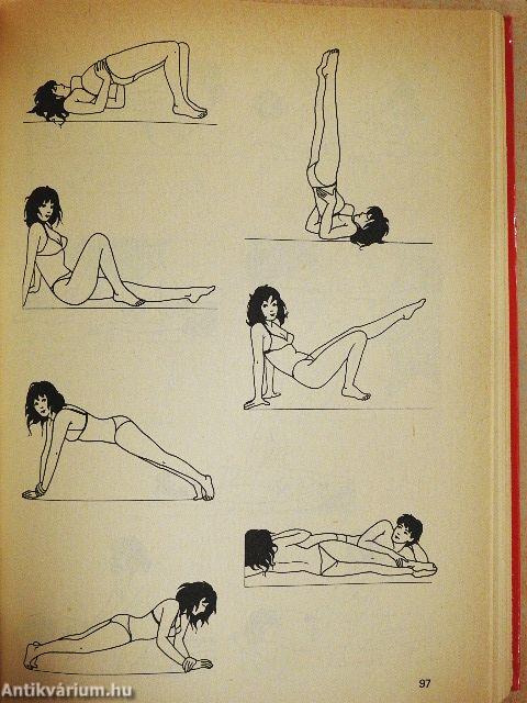 Szexualitás felsőfokon