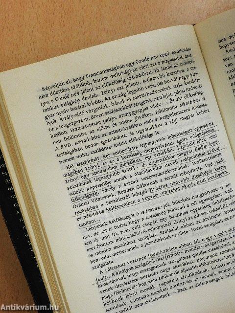 Magyar irodalomtörténet