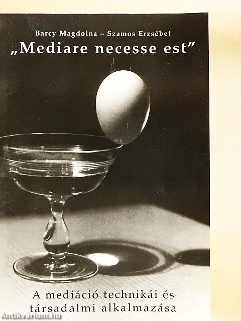 "Mediare necesse est"