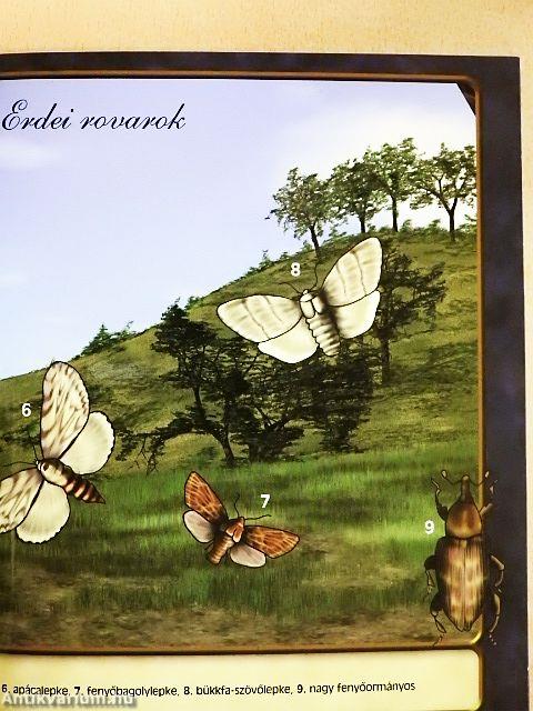 Magyarország állatvilága kicsiknek