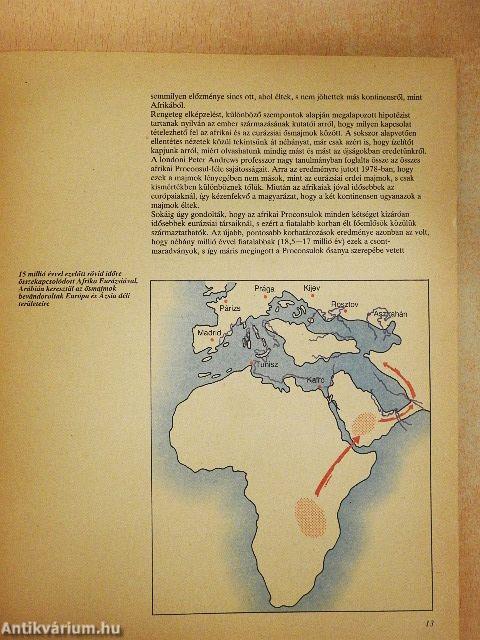 Az emberiség kezdetei