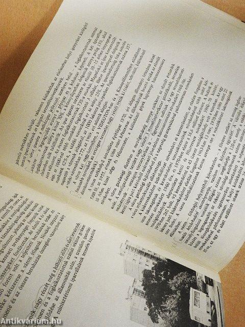 Az 1000 éves Székesfehérvár