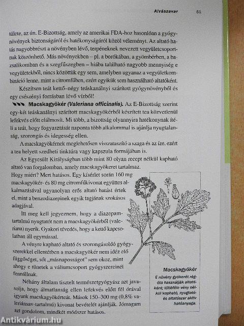 Gyógynövénypatika
