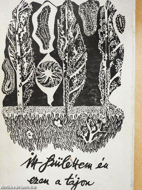 Ördögi kísírtetek