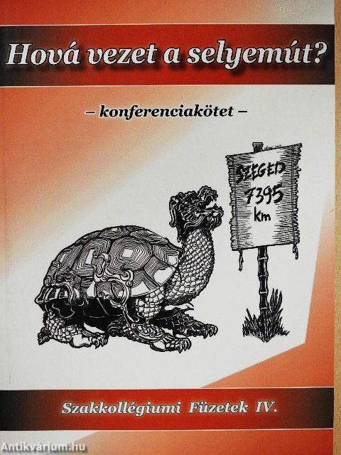 Hová vezet a selyemút?