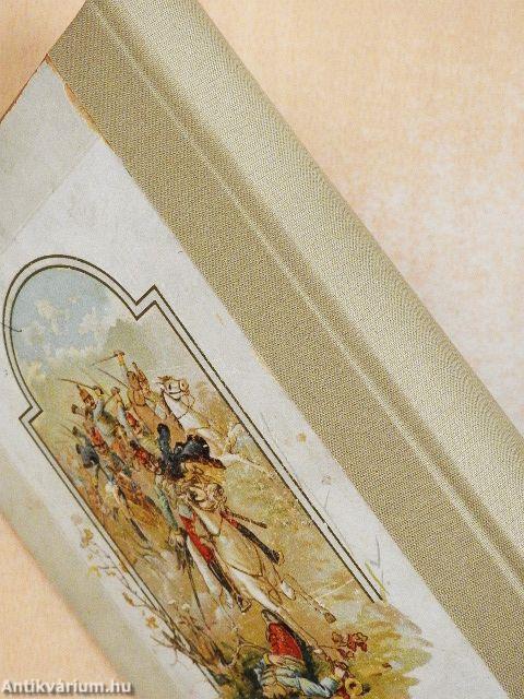 A magyar szabadságharcz története