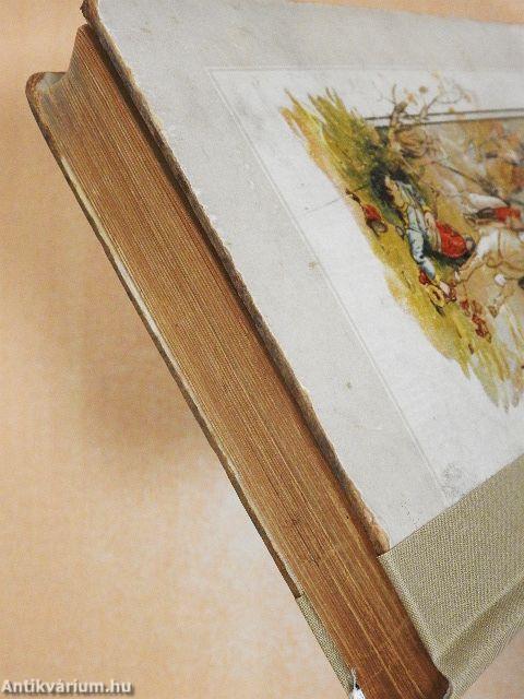 A magyar szabadságharcz története