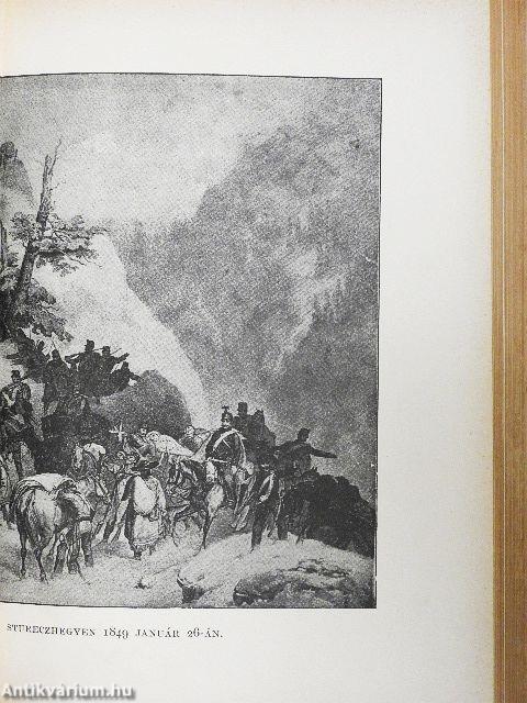 A magyar szabadságharcz története