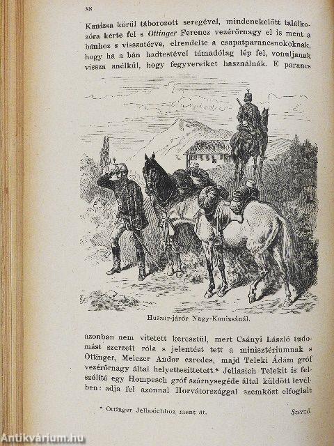 A magyar szabadságharcz története