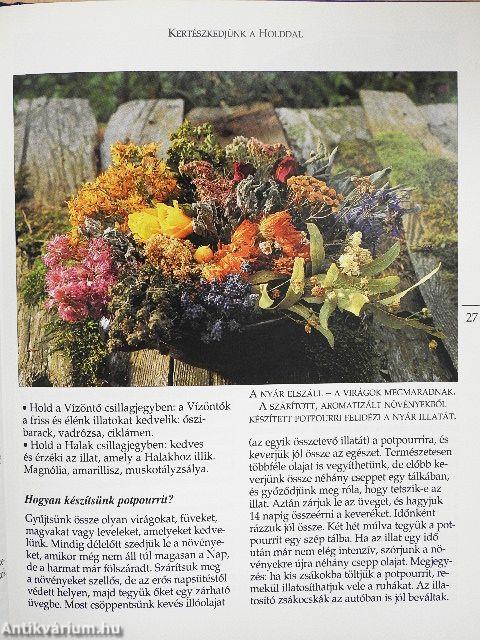 Kertészkedjünk a Holddal