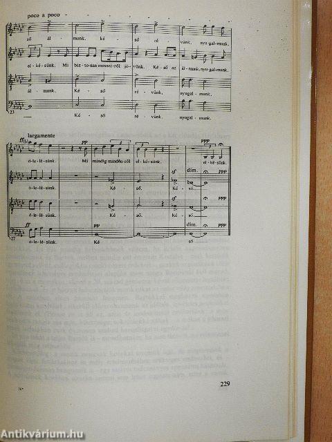 "Akarom: tisztán lássatok"