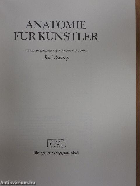 Anatomie für Künstler