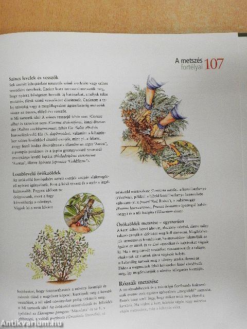 A kertészkedés alapjai