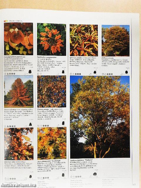 Dísznövény enciklopédia